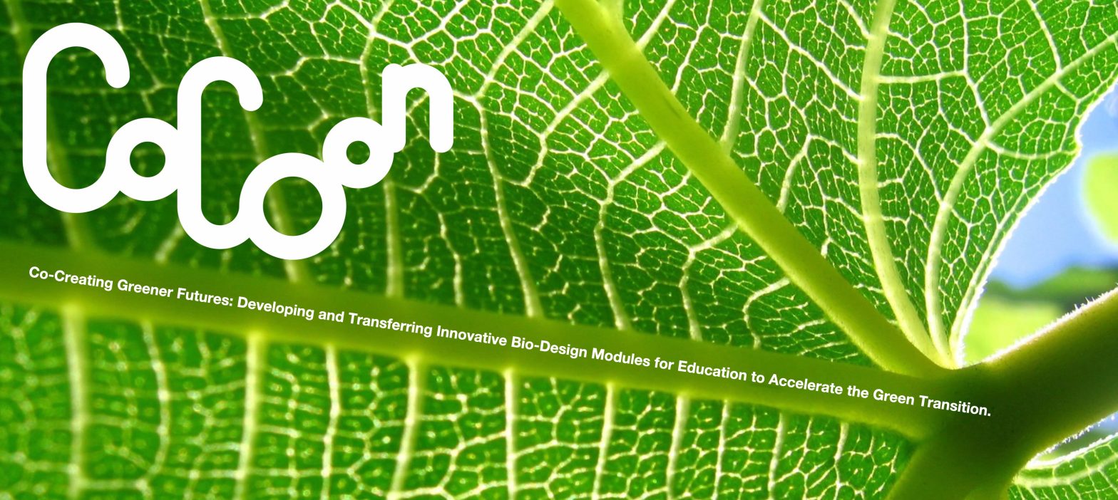 Biodesign Diagnostic Co-creation Workshop – focus on needs for change and improvement